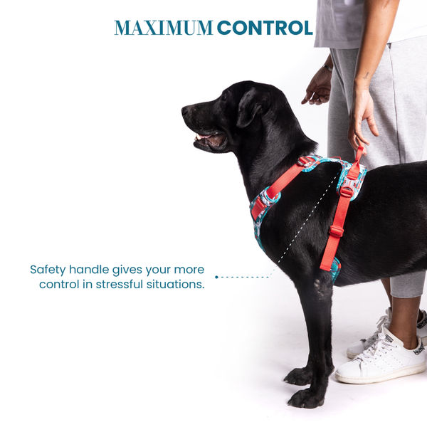 Truelove No Pull Special Edition with 3M Reflective Material Harness for Dogs (Camouflage blue)