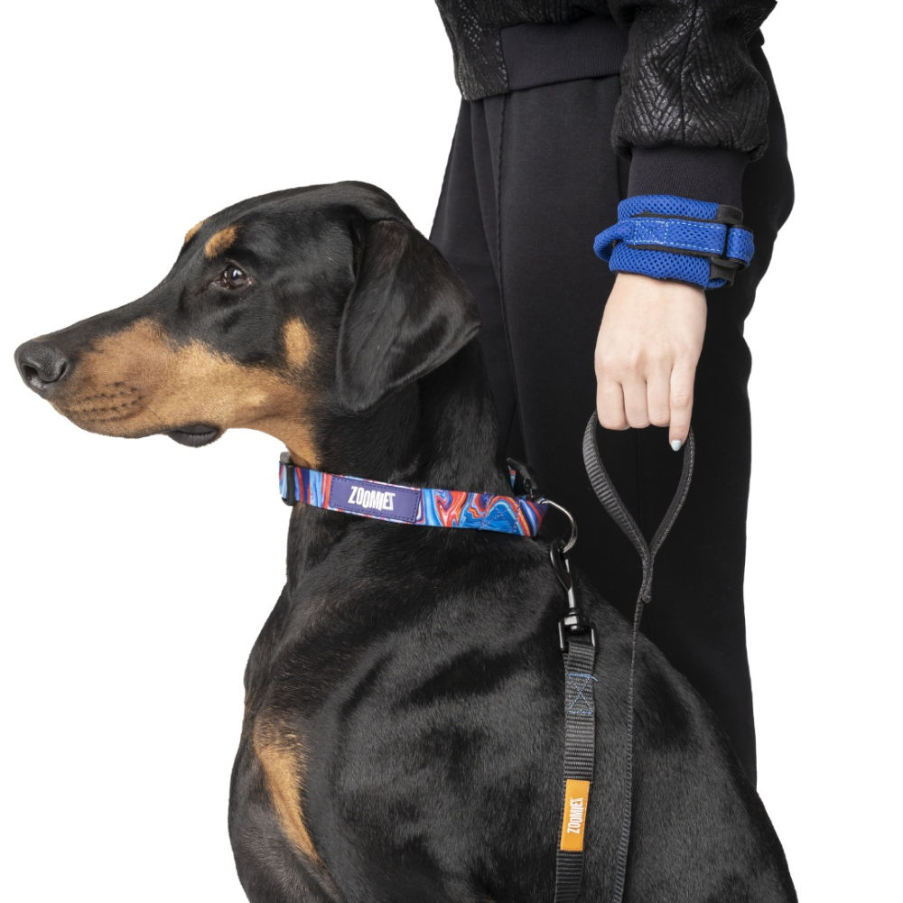 Zoomiez Hands Free Mesh Leash for Dogs (Royal Blue)