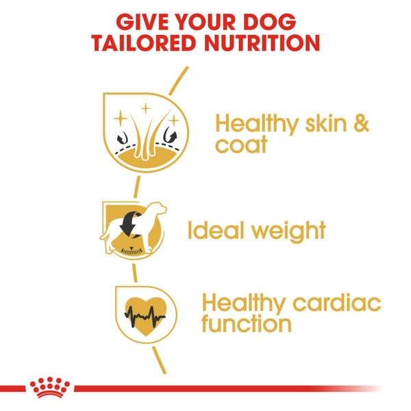 Royal Canin Cocker Adult Dog Dry Food