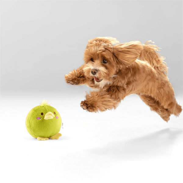 Barkbutler x Fofos Slow Rising Animal Toy Set for Dogs (Green)