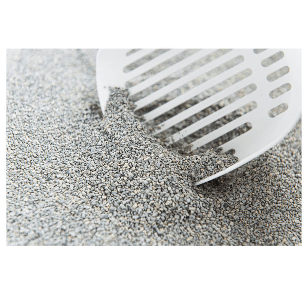 Intersand Scented Odour Lock Calming Breeze Cat Litter