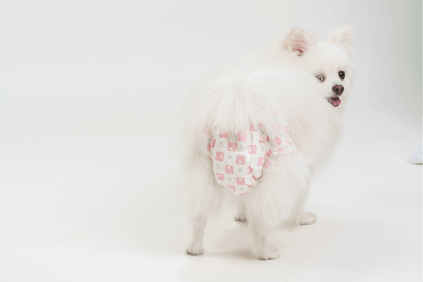 Barkbutler x Fofos Diaper for Female Dogs (43x65cm)