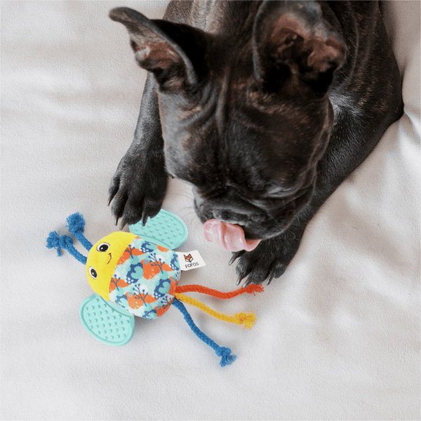 Barkbutler x Fofos Puppy Bee Toy for Dogs