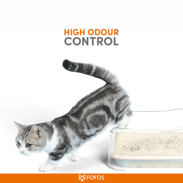 Barkbutler x Fofos Unscented Tofu & Crushed Bentonite Cat Litter