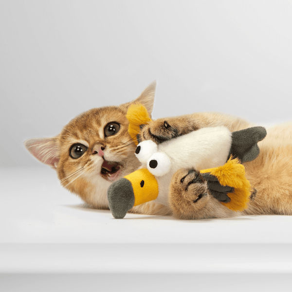 Barkbutler x Fofos Eagle with Catnip Balls Interactive Toy for Cats