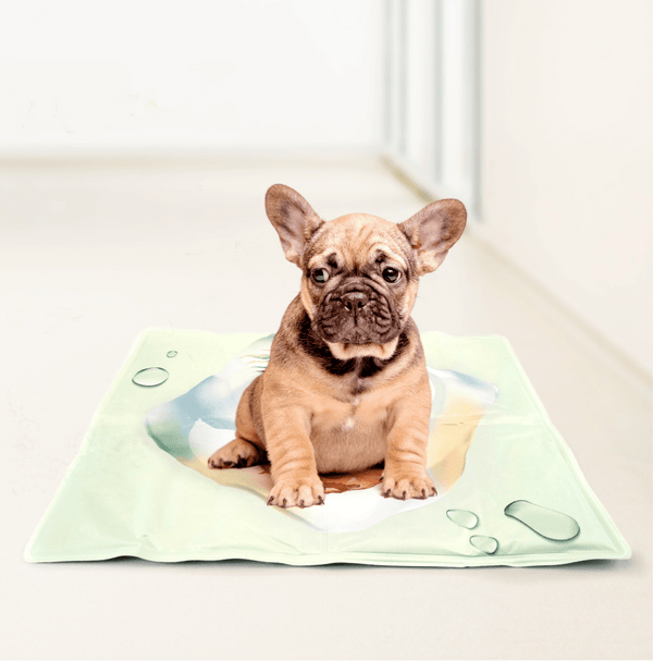 Barkbutler x Fofos Pineapple Cooling Mat for Dogs