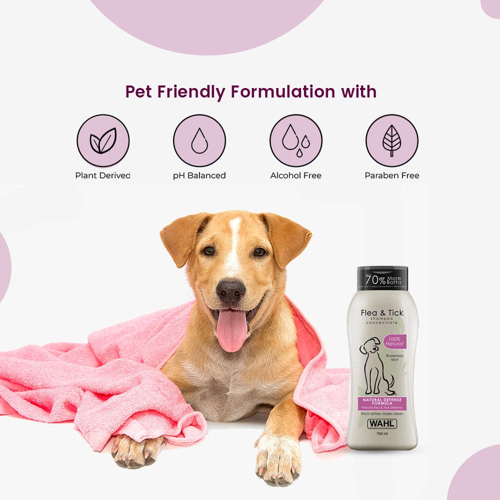 Wahl 2025 flea shampoo