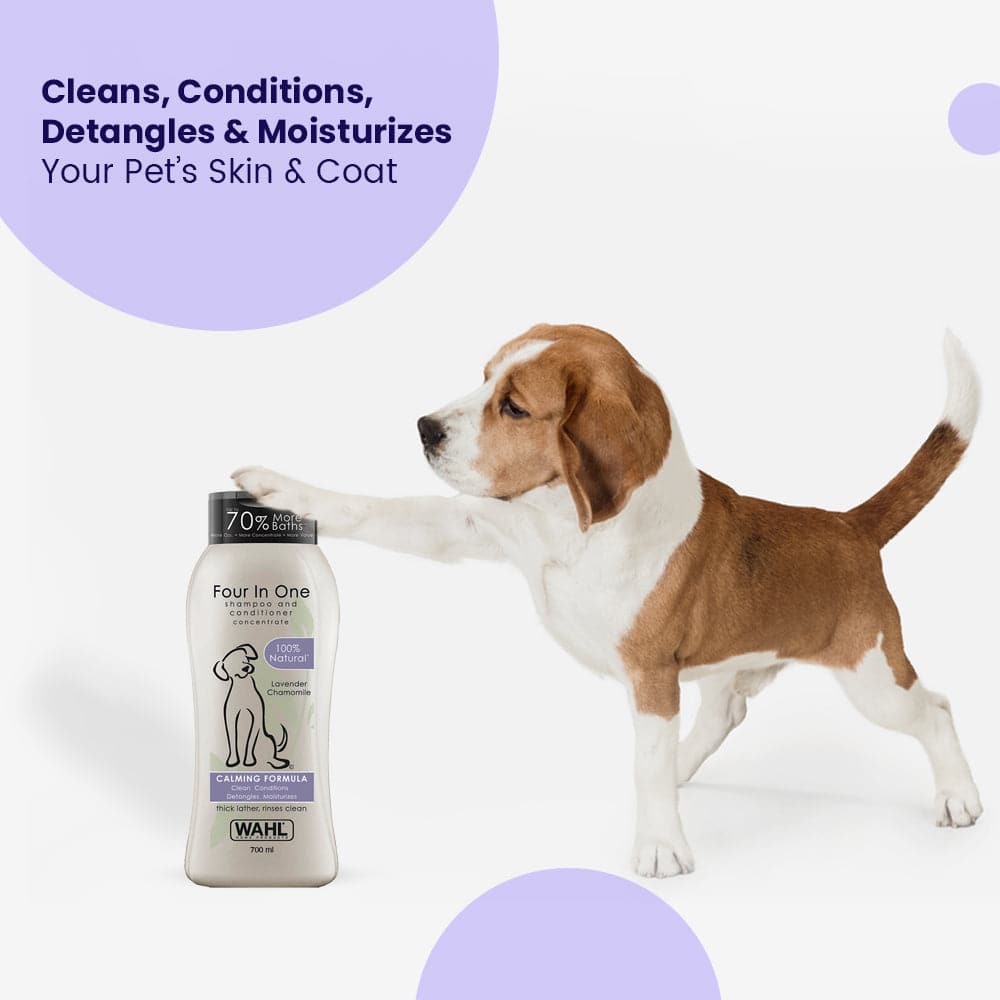 Best shampoo for 2025 beagle smell