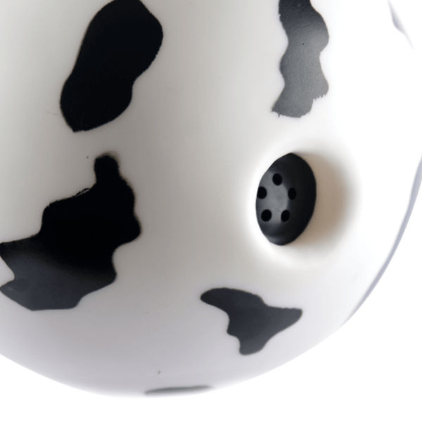 M Pets Pongo Interactive ball Toy for Dogs