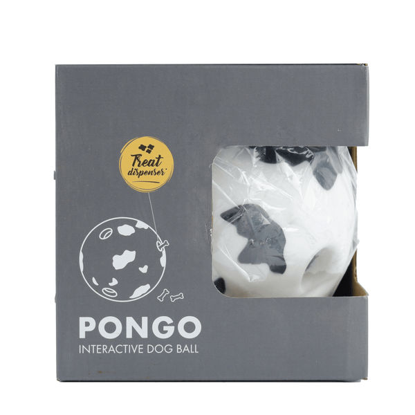 M Pets Pongo Interactive ball Toy for Dogs