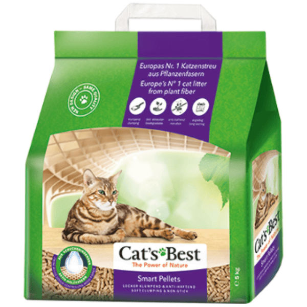 Cat&