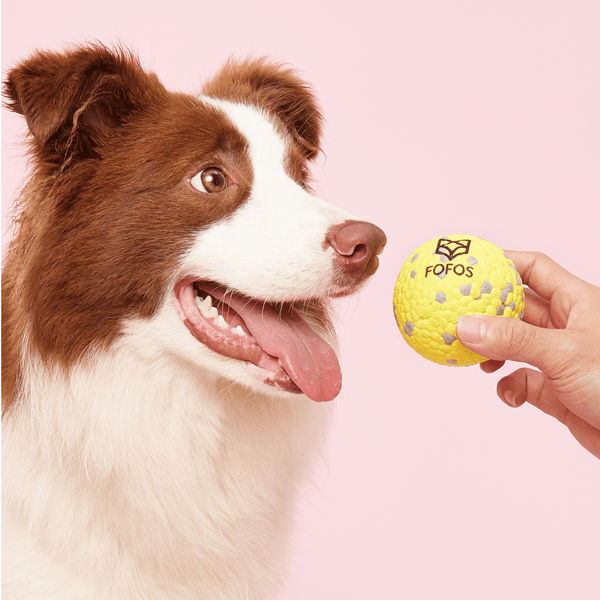 Barkbutler x Fofos Super Bounce Chew Ball for Dogs (Yellow) | For Aggressive Chewers