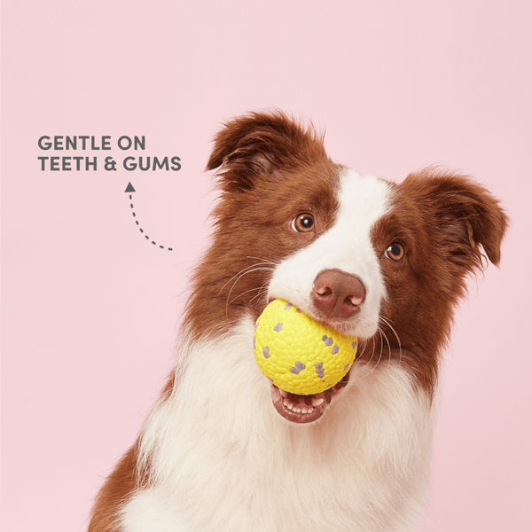 Barkbutler x Fofos Super Bounce Chew Ball for Dogs (Yellow) | For Aggressive Chewers