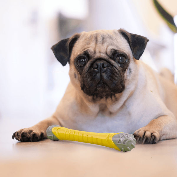 Barkbutler x Fofos Flexy Bone Chew Toy for Dogs