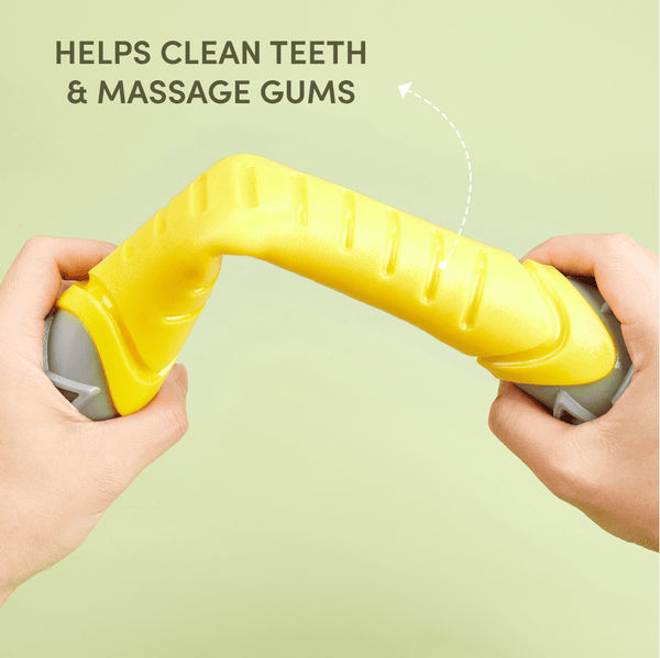 Barkbutler x Fofos Flexy Bone Chew Toy for Dogs