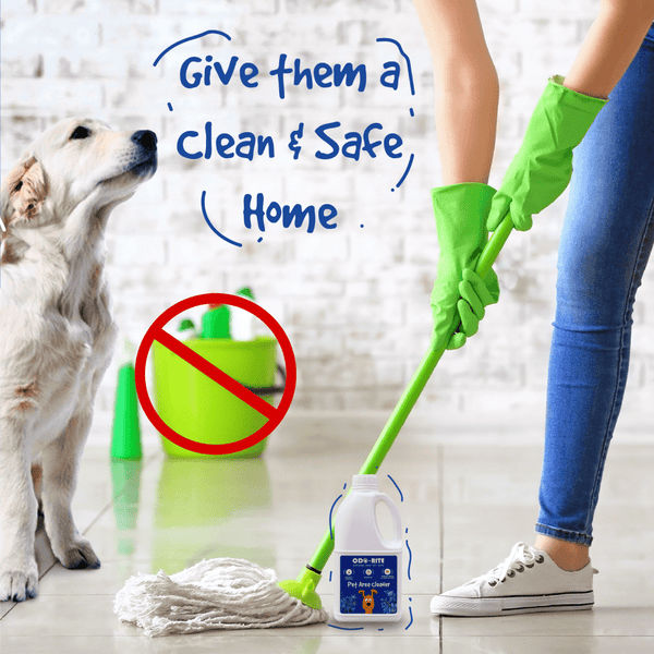 Odo Rite Pet Area Cleaner with Odour Neutralizer