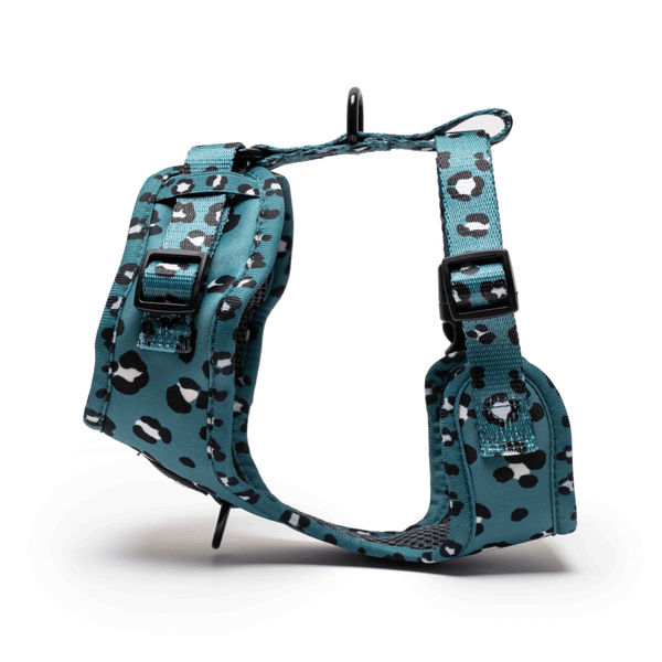 Furry & Co Wild One No Pull Harness for Dogs