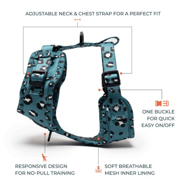 Furry & Co Wild One No Pull Harness for Dogs