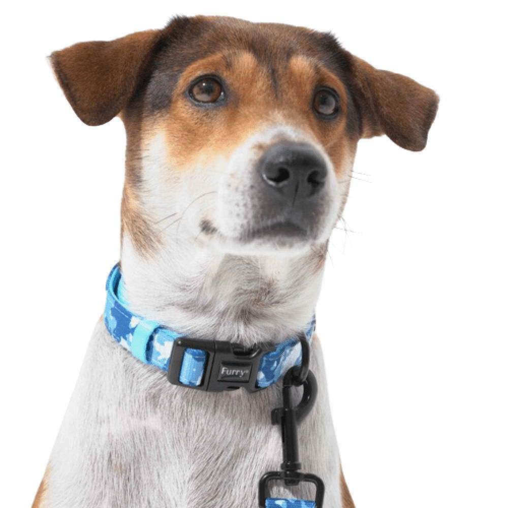 Furry dog collar cheap