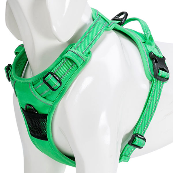 Truelove Classic Harness for Dogs (Grass Green)