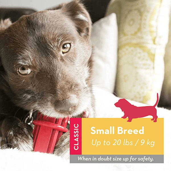 Kong Dental Sticks Toy for Dogs (Red) | For Aggressive Chewers