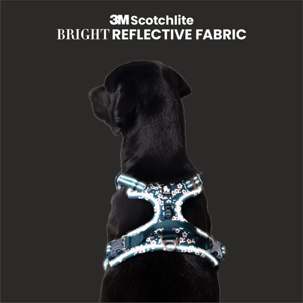 Truelove Floral No Pull 3M Reflective Harness for Dogs (Saxony Blue)