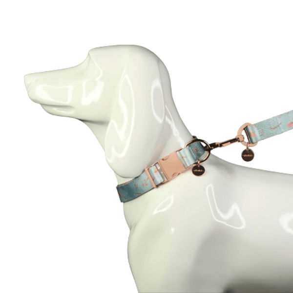 Glucklich Printed Polyester Adjustable Pet Collar for Dogs (Floral Mist)