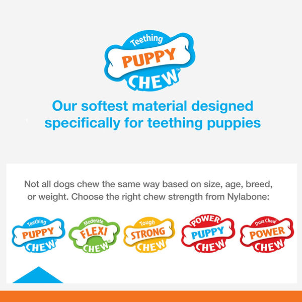 Nylabone Puppy Teething Chicken Flavoured Dental Bone Chew Toy for Dogs (Blue)