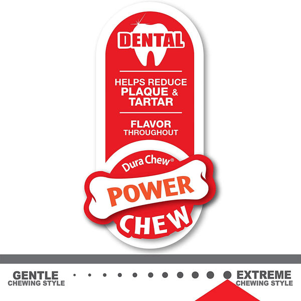 Nylabone Puppy Teething Chicken Flavoured Power Chew Dental Dinosaur Toy for Dogs (White)