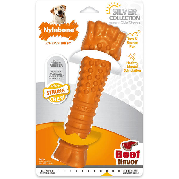 Nylabone Sliver Collection Beef Flavoured Stong Chew Toy for Dogs (Orange)