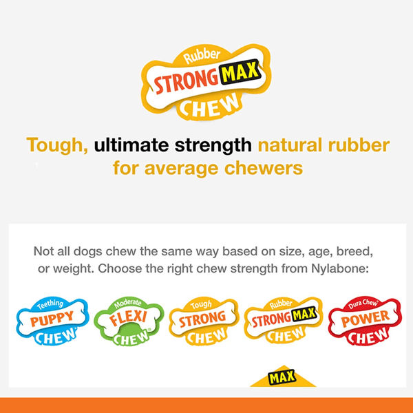 Nylabone Sliver Collection Beef Flavoured Stong Chew Toy for Dogs (Orange)