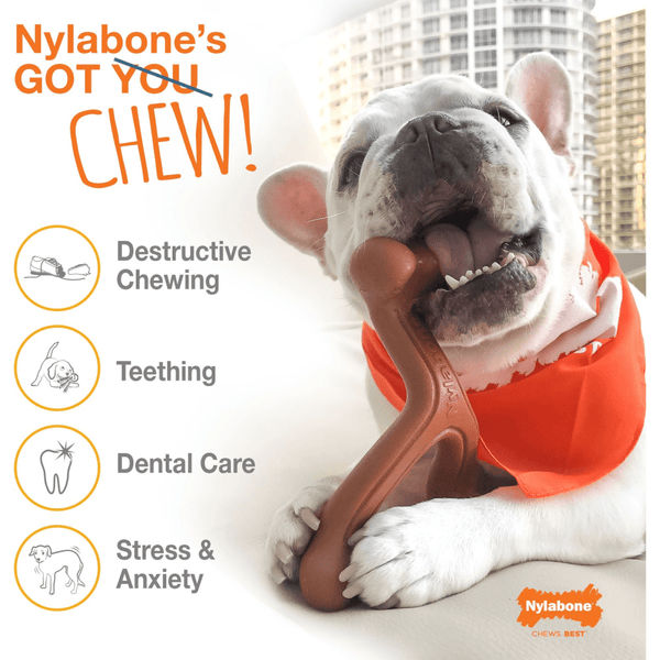 Nylabone Bacon Flavoured Power Chew Bone (Brown)
