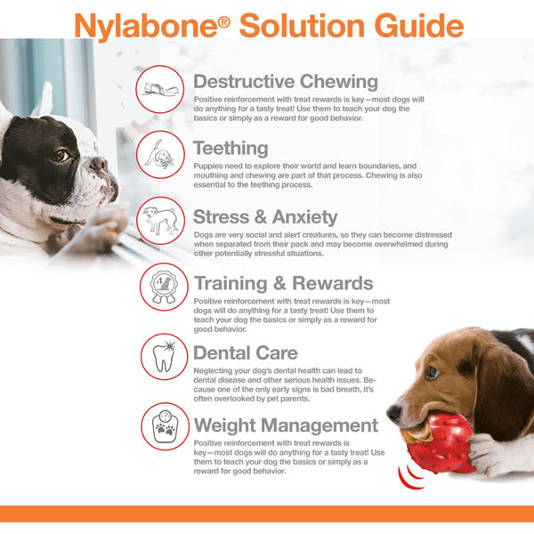 Nylabone Bacon Flavoured Power Chew Bone (Brown)