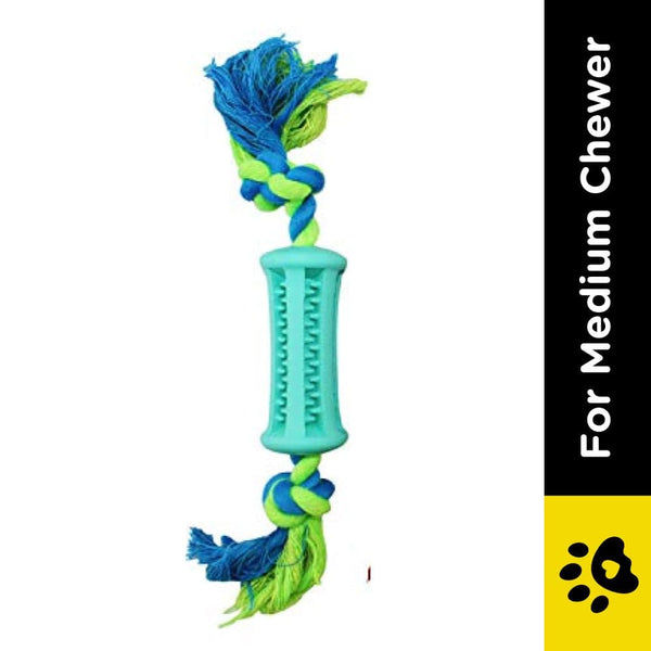 Emily Pets Toothbrush Stick Dental Care Toy with Rope for Dogs (Sky Blue)