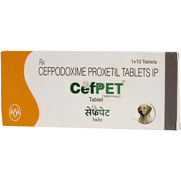 Intas Cefpet 100mg (Cefpodoxime Proxetil) Tablet for Dogs & Cats