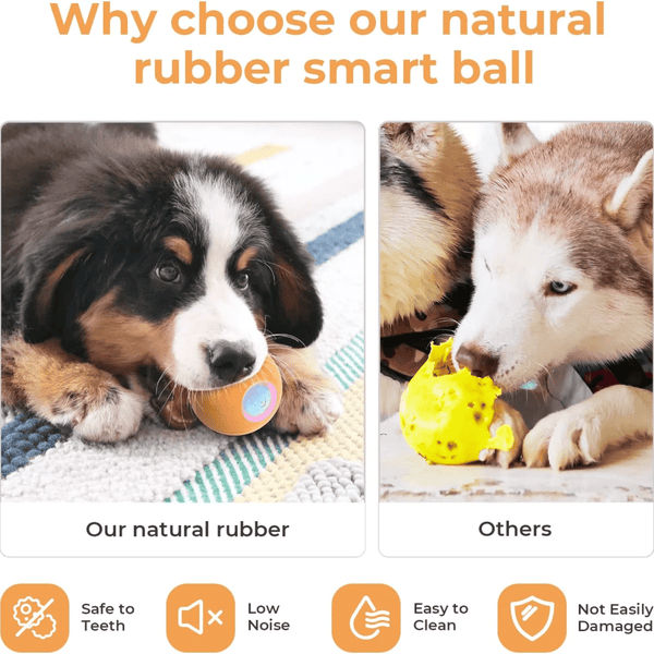 Cheerble Wicked SE Ball Toy for Dogs | For Medium Chewers (Blue)