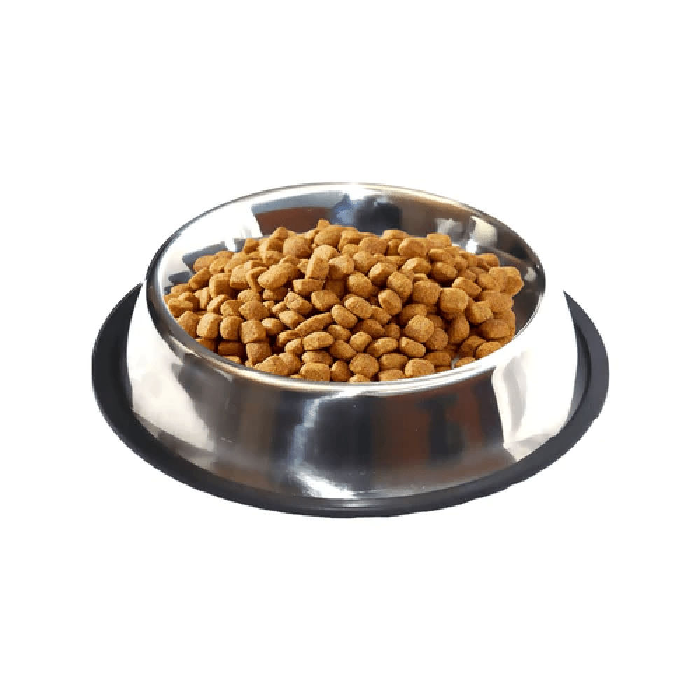 Emily Pets Steel Non Skid Pet Food/Water Bowl with Rubber Ring for Dogs and Cats