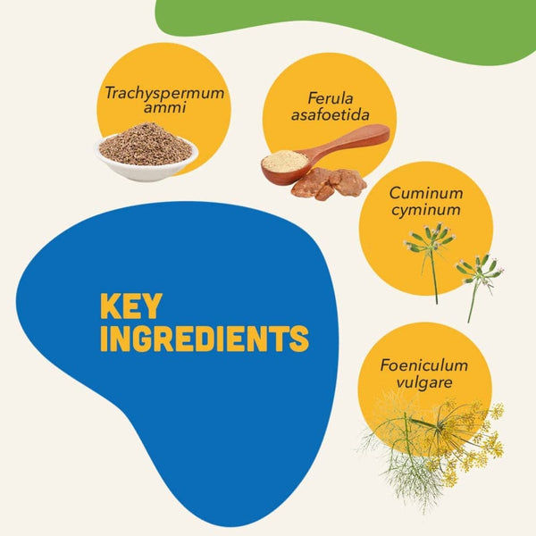 Natural Remedies Digestive Bites Chew Treats for Dogs