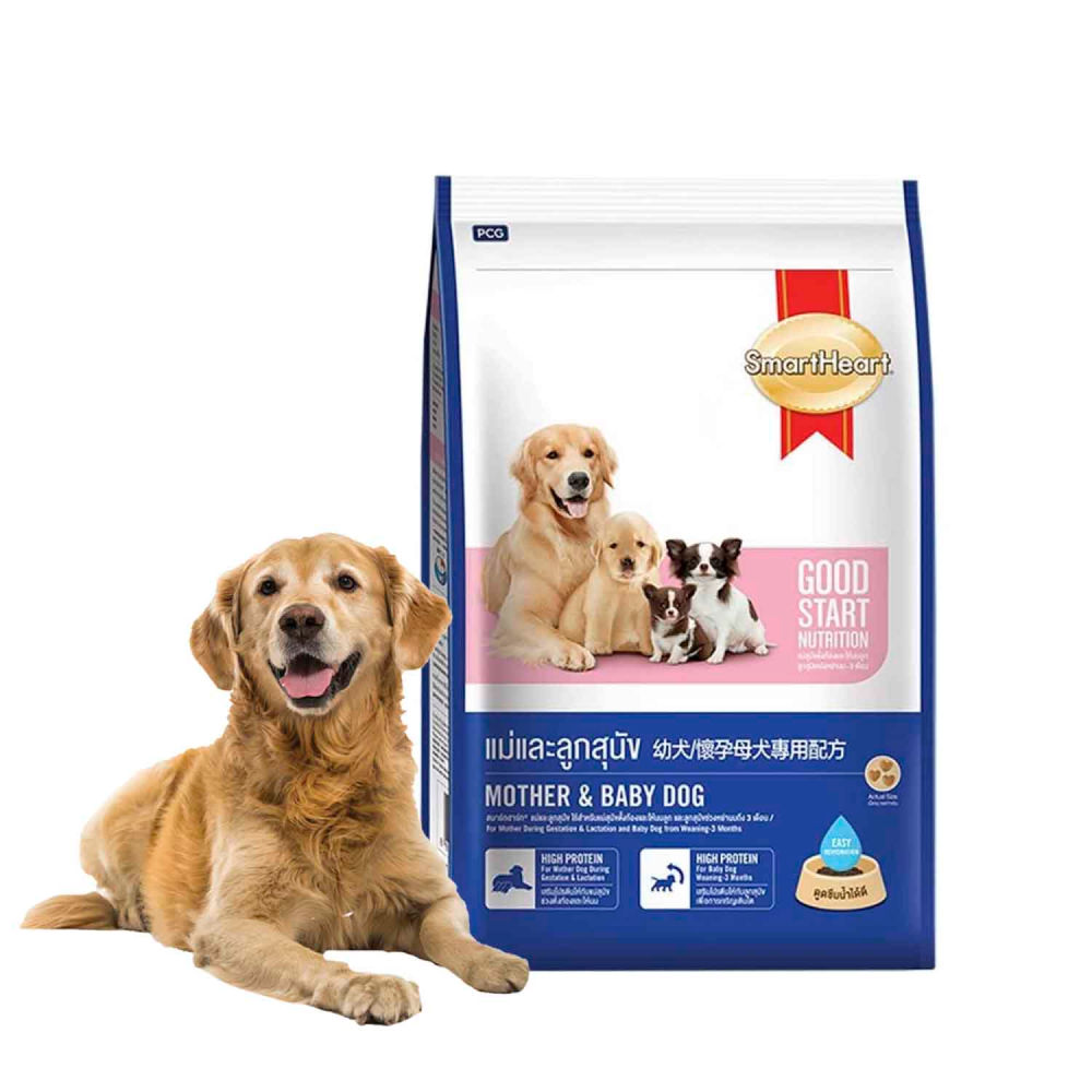 American natural top premium puppy starter