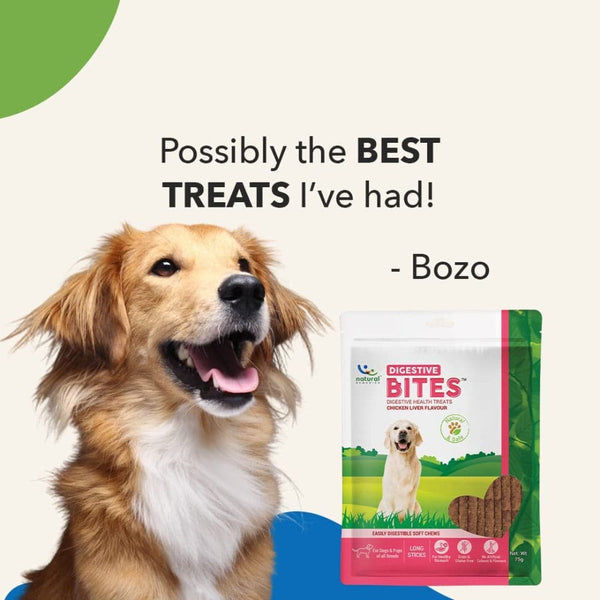 Natural Remedies Digestive Bites Chew Treats for Dogs