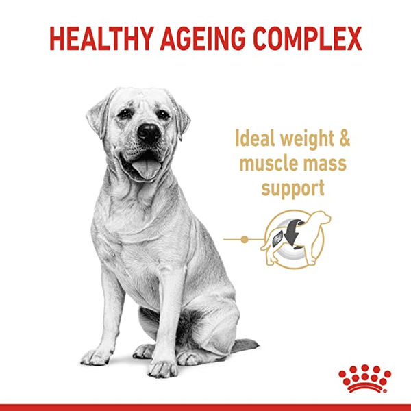 Royal Canin Labrador Retriever Adult Dog Dry Food for 5+ years of age