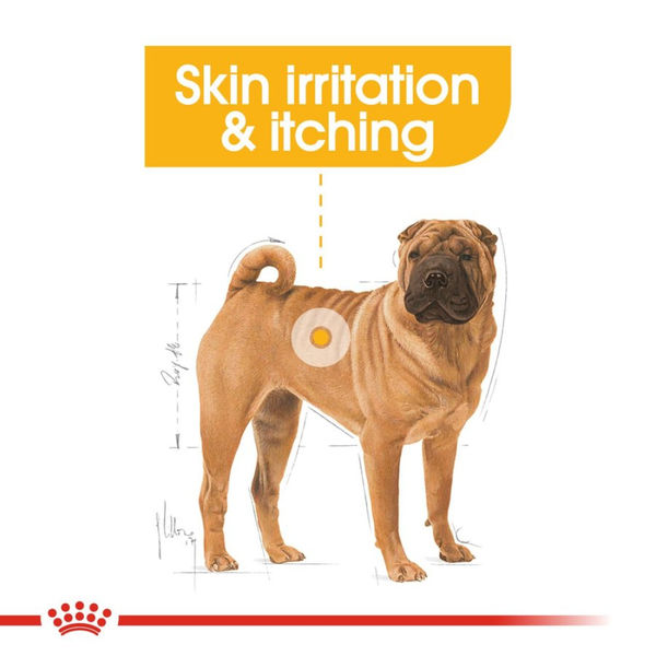 Royal Canin Derma Comfort Medium Adult Dog Dry Food