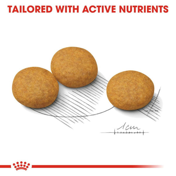 Royal Canin Derma Comfort Medium Adult Dog Dry Food