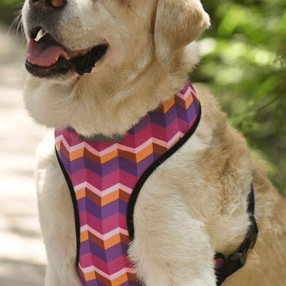 Mutt of Course Dark Geometrical Harness for Dogs