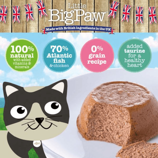 Little Big Paw Atlantic Salmon Mousse Cat Wet Food