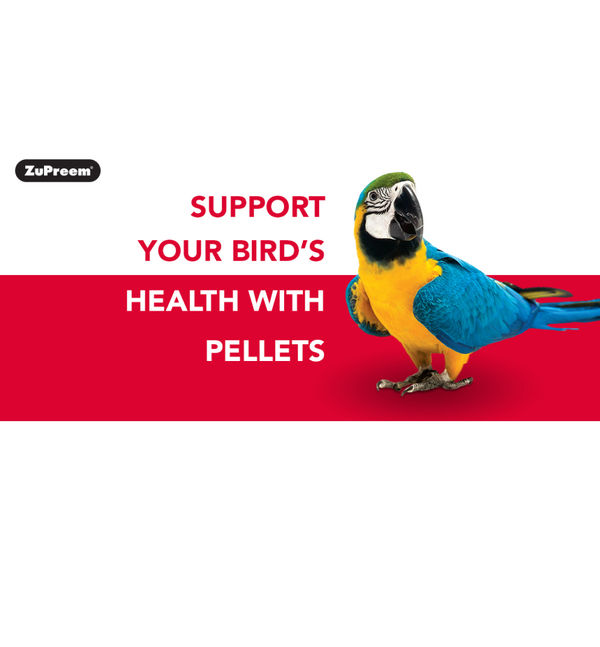 ZuPreem Fruit Blend Bird Food for Large Birds