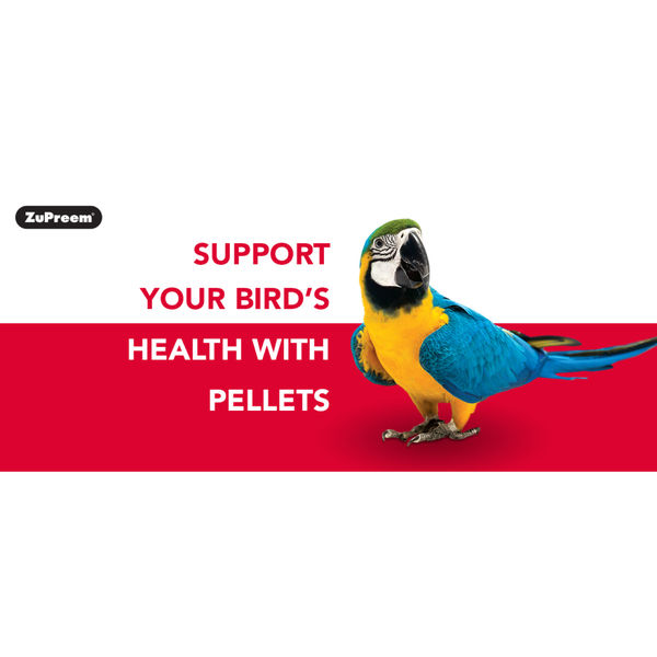 ZuPreem Fruit Blend Bird Food for Medium Birds