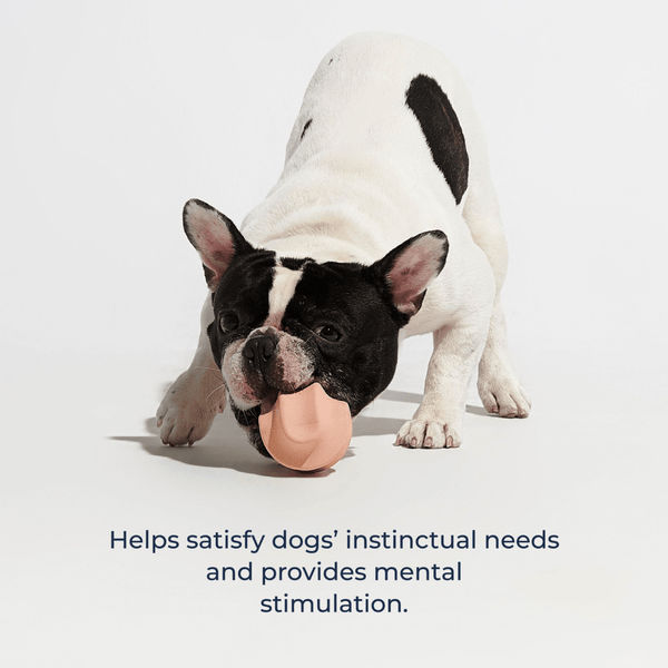 Furry & Co Roller Toy for Dogs (Indigo Blue)