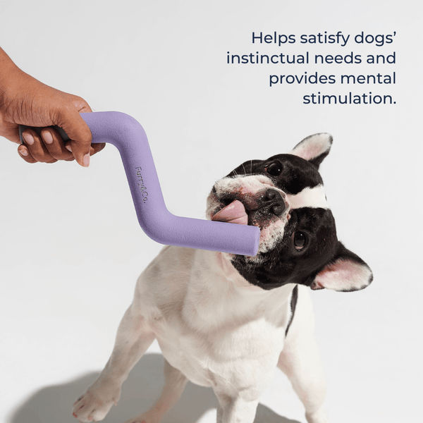 Furry & Co Volt Toy for Dogs (Lilac)