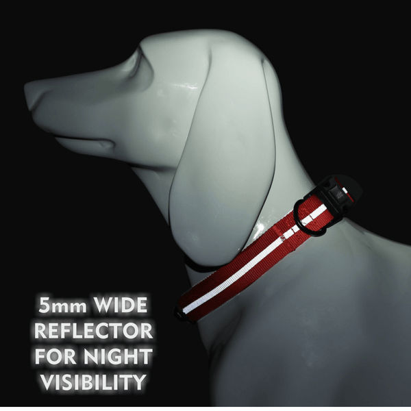 Glucklich Everyday Reflective Collar for Dogs (Cherry Pink)